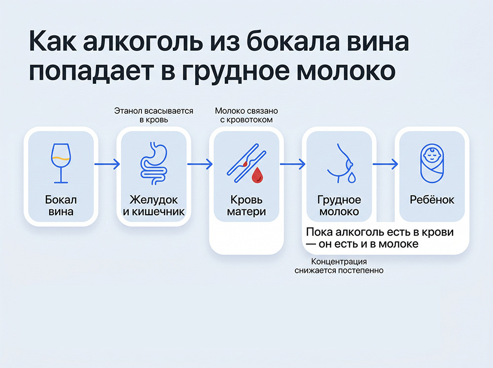Как алкоголь попадает в грудное молоко