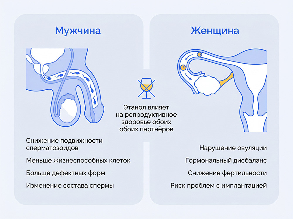 Алкоголь перед зачатием влияет на обоих партнёров