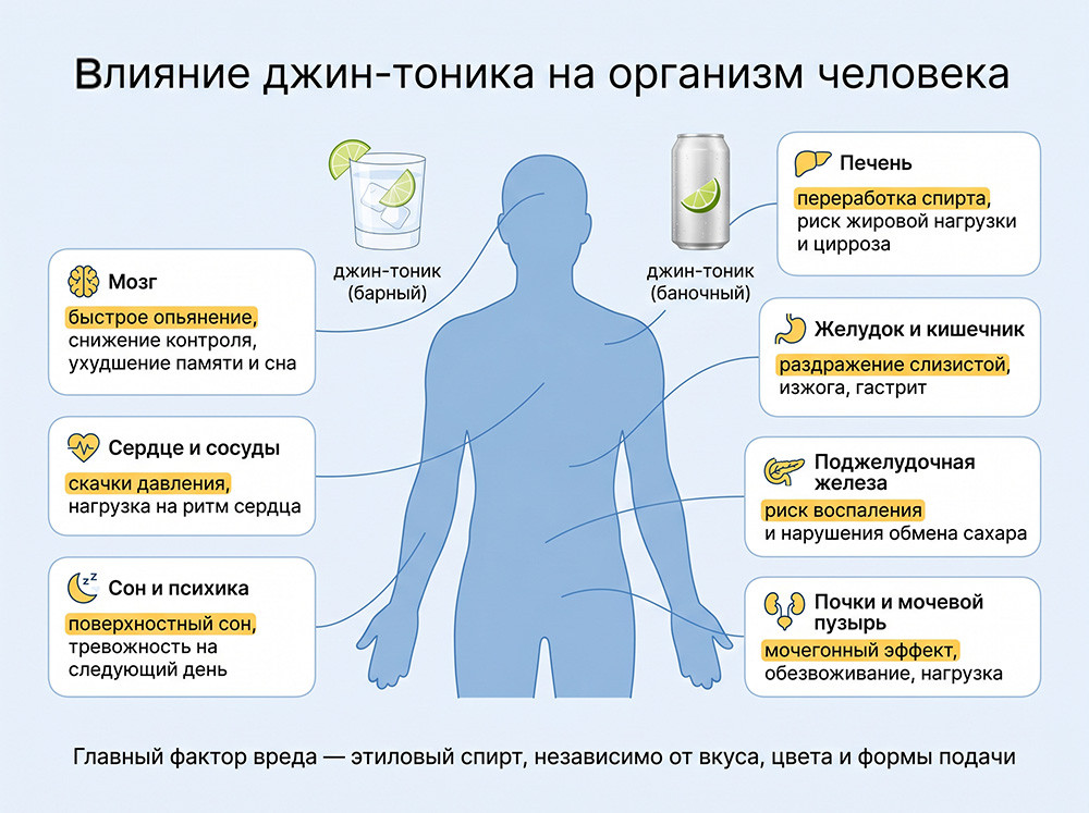 Влияние джин тоника на органы и системы организма